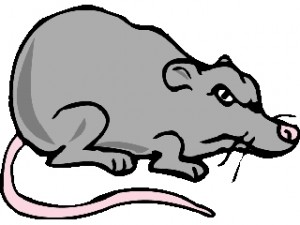 jpg_RAT01