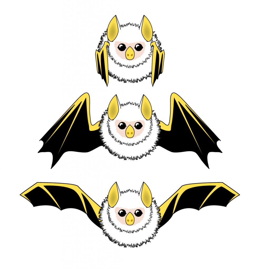 bat