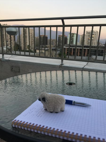 view from rooftop, while writing with my sheep, Oveja
