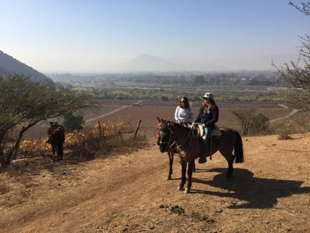 riding horses in Chile