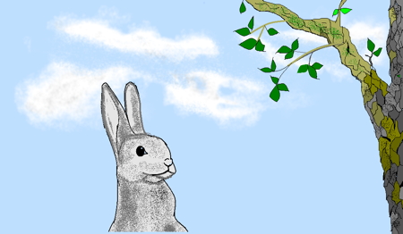 Rabbit, next to tree