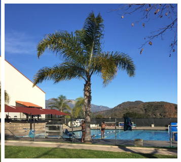 P.E. building in private school with swimming pool