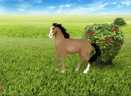 horse in a field