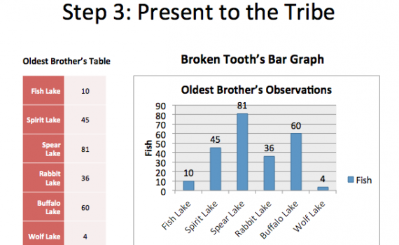 Graph explaining Buffalo herd statistics