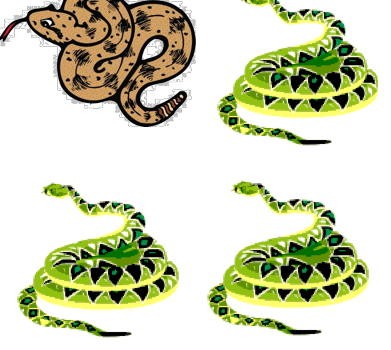 snakes