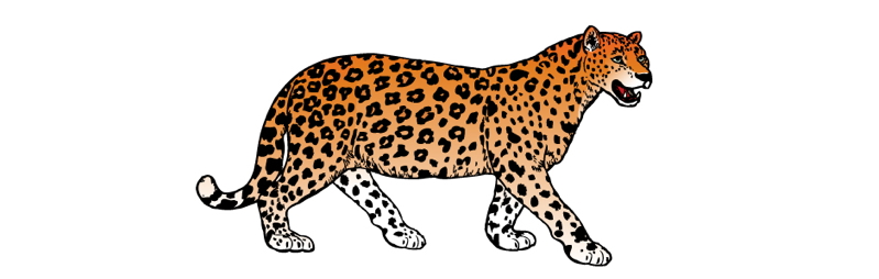 jaguar from Aztech Games