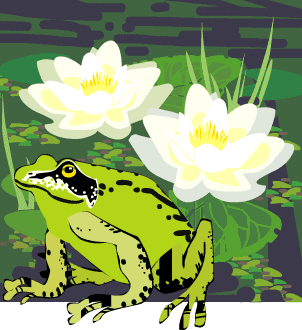 frog and lily pad