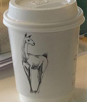 Coffee cup with llamas