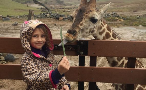 Eva feeding a giraffe