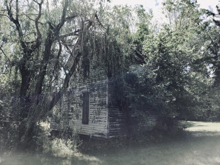 Creepy house selected in photo curation by Warwick students