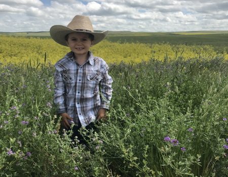 Cal in his cowboy outfit 2 days into moving our startup to the midwest