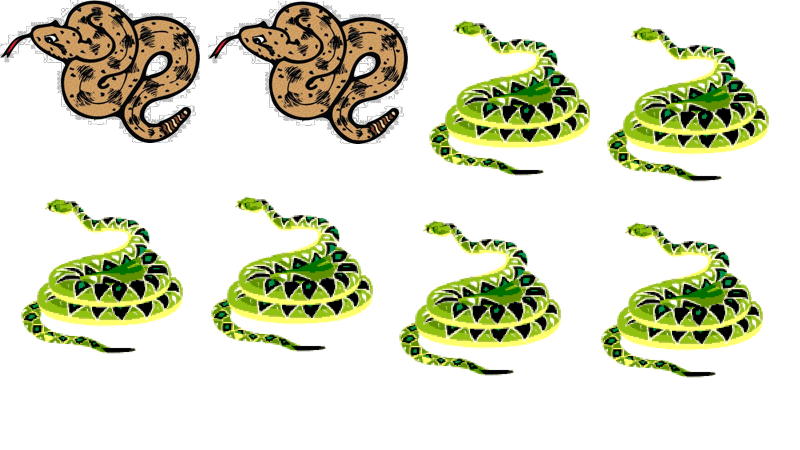 Introducing fractions can be done with anything , like that 2/8 of these snakes are brown