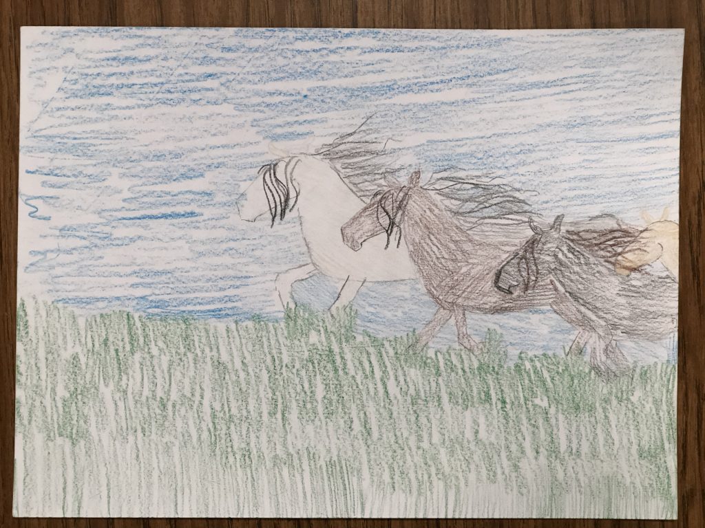 Depiction of running wild horses by a Native American student